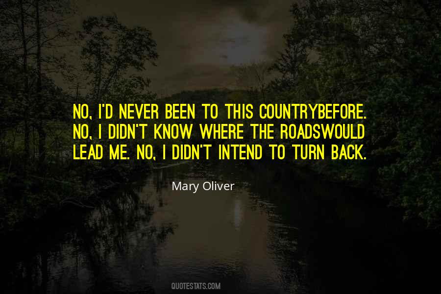 Mary Oliver Quotes #1346993