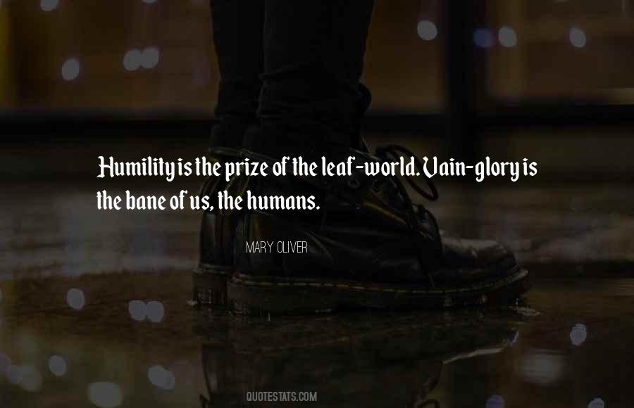 Mary Oliver Quotes #159162