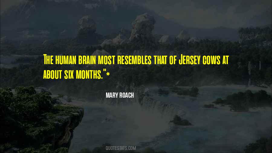 Mary Roach Quotes #1027555