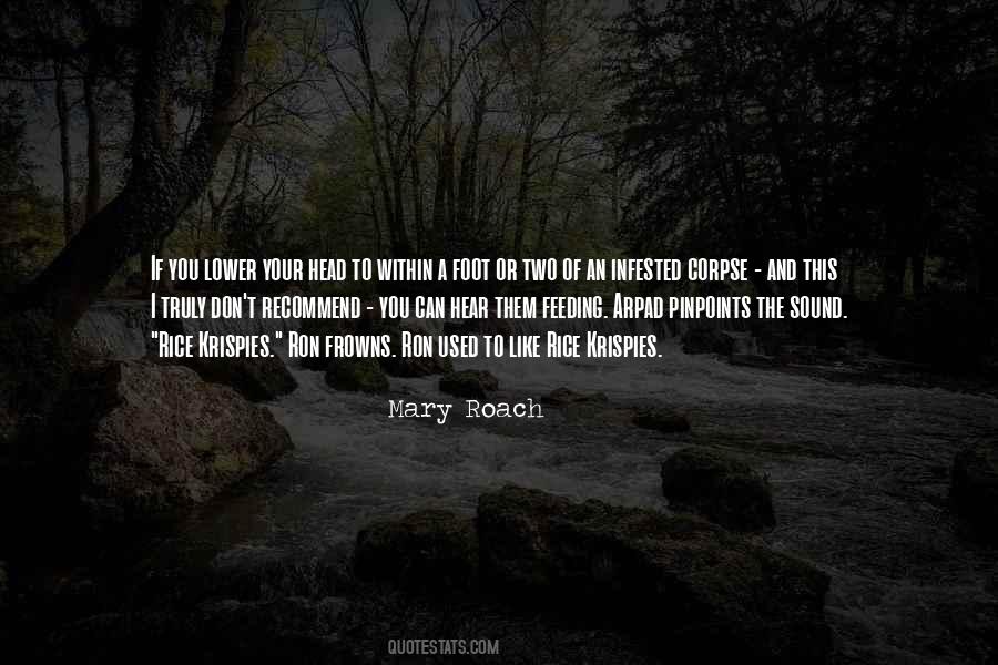 Mary Roach Quotes #971332
