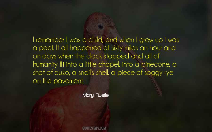 Mary Ruefle Quotes #1359713