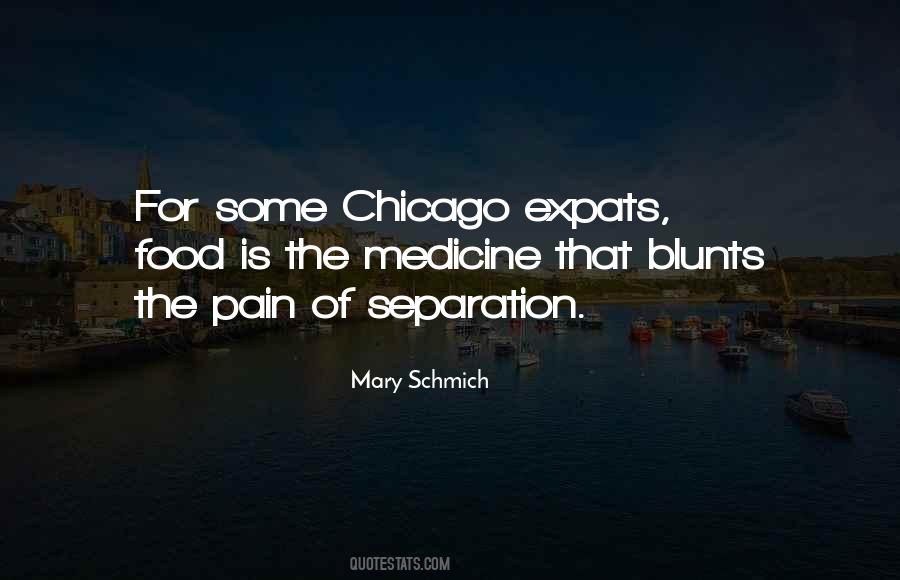Mary Schmich Quotes #973185