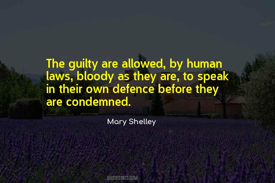 Mary Shelley Quotes #1288253