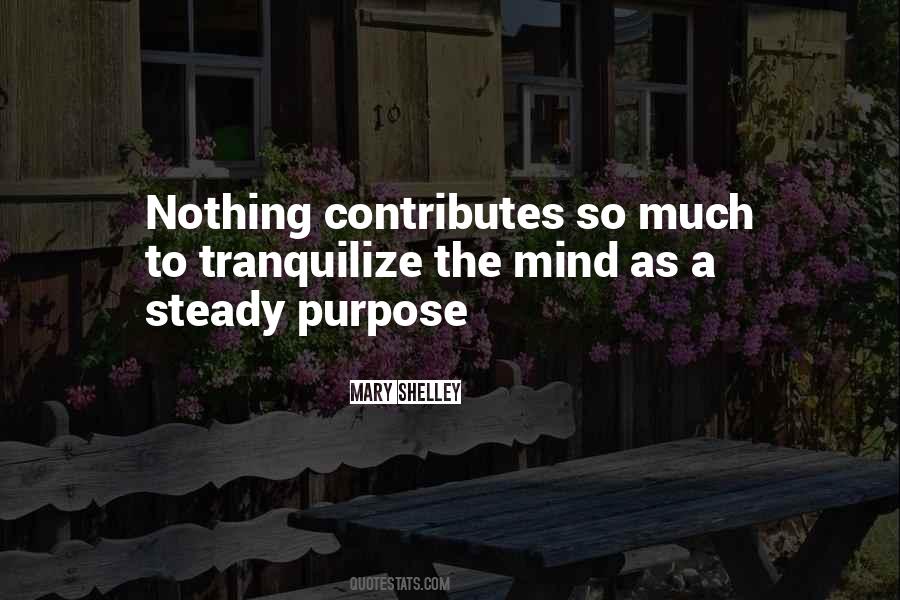 Mary Shelley Quotes #665454