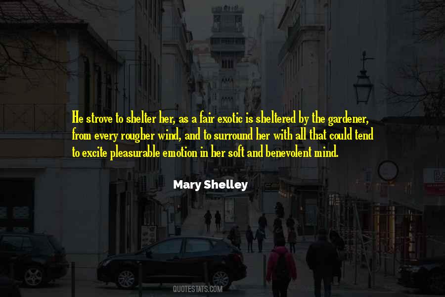 Mary Shelley Quotes #892799