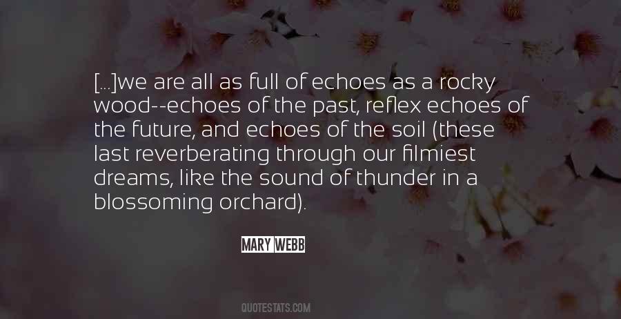 Mary Webb Quotes #109004