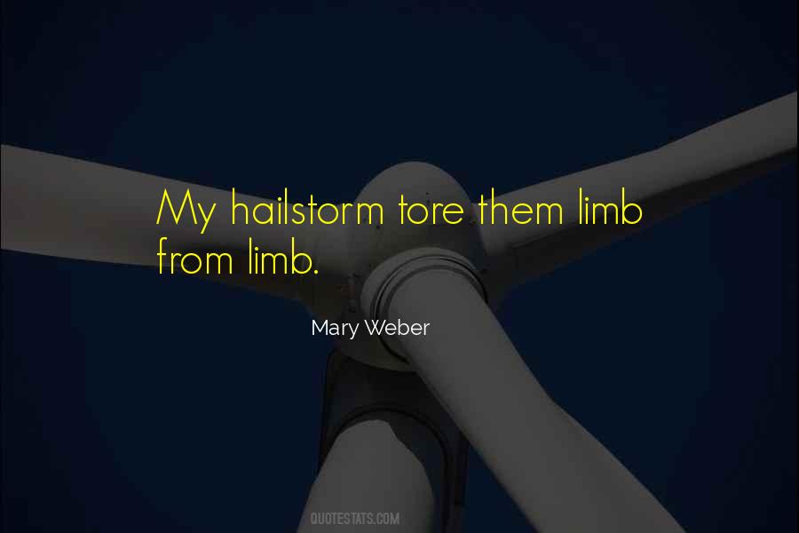 Mary Weber Quotes #71956