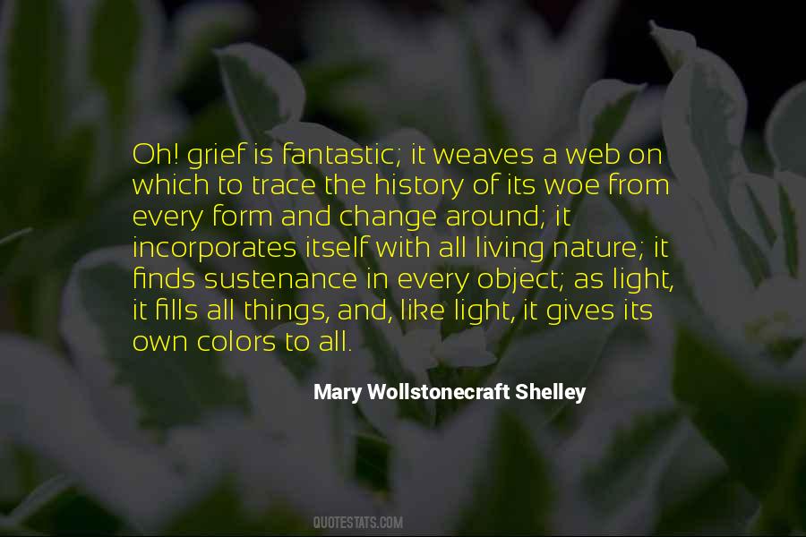 Mary Wollstonecraft Shelley Quotes #641854