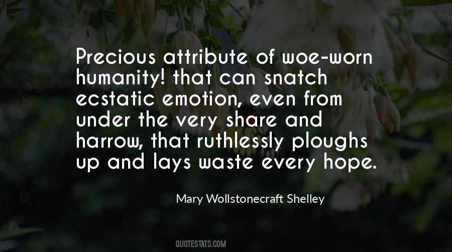 Mary Wollstonecraft Shelley Quotes #962883