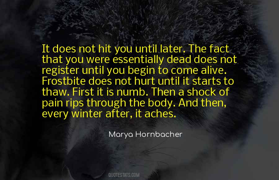 Marya Hornbacher Quotes #1402915