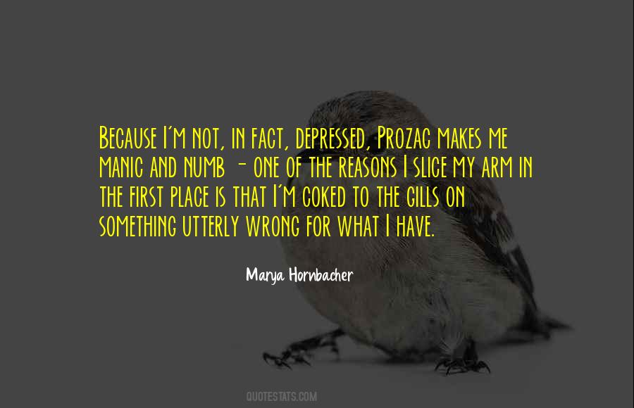 Marya Hornbacher Quotes #62527