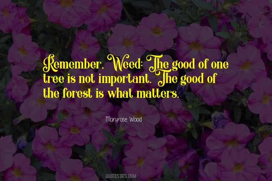 Maryrose Wood Quotes #871810