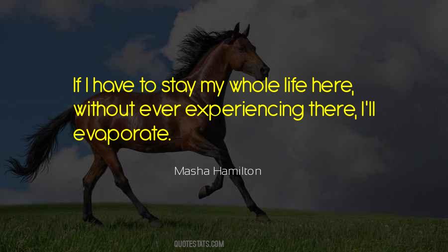 Masha Hamilton Quotes #578068