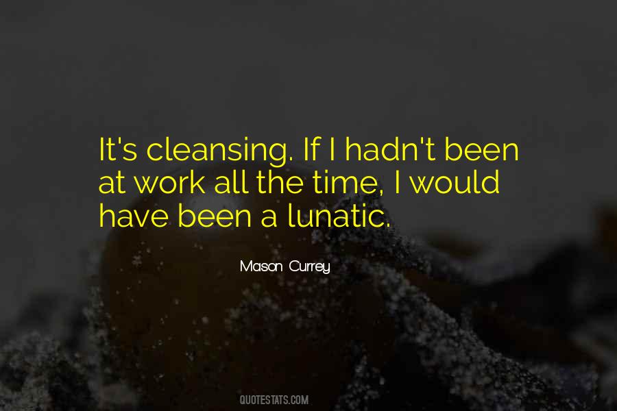 Mason Currey Quotes #1074706