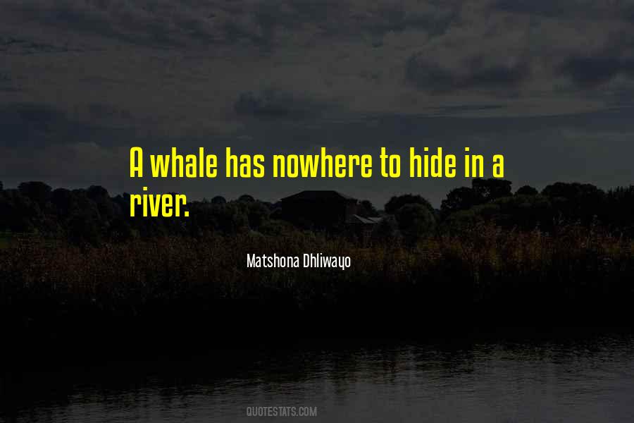 Matshona Dhliwayo Quotes #1767617