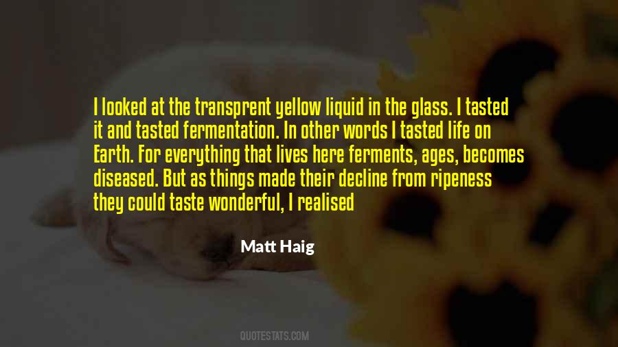 Matt Haig Quotes #406573