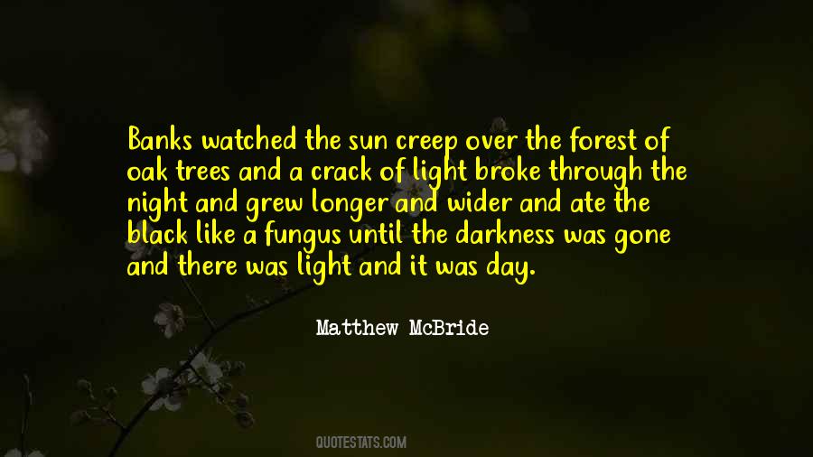Matthew McBride Quotes #771592 Matthew McBride Quotes #771592