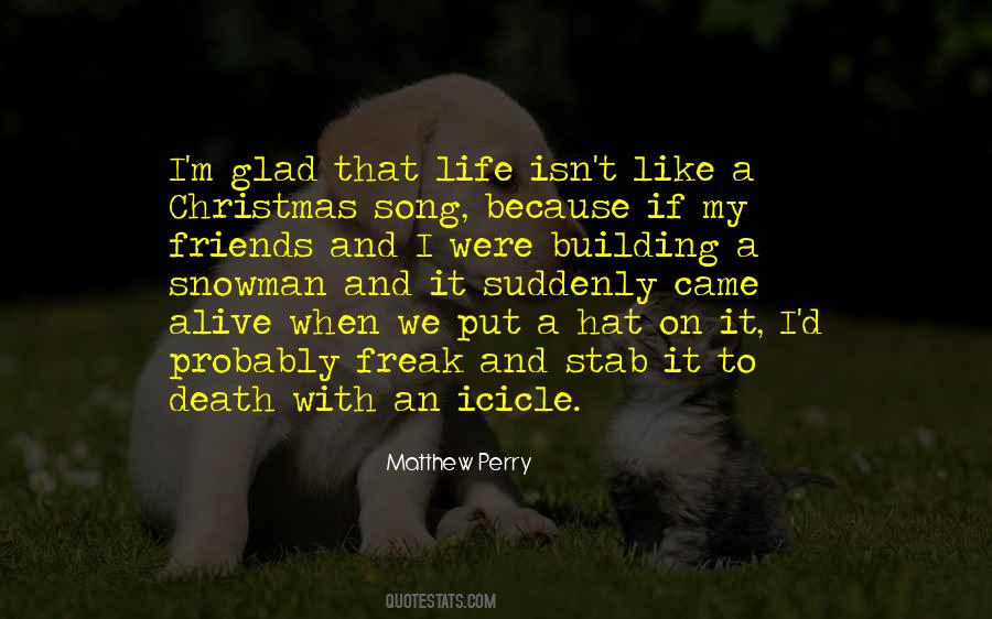 Matthew Perry Quotes #659128