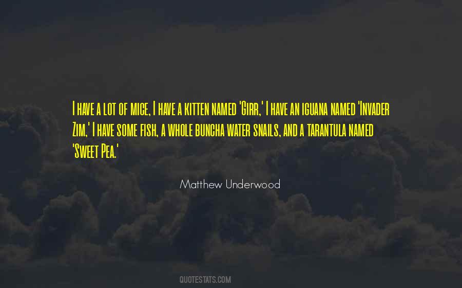 Matthew Underwood Quotes #1720760