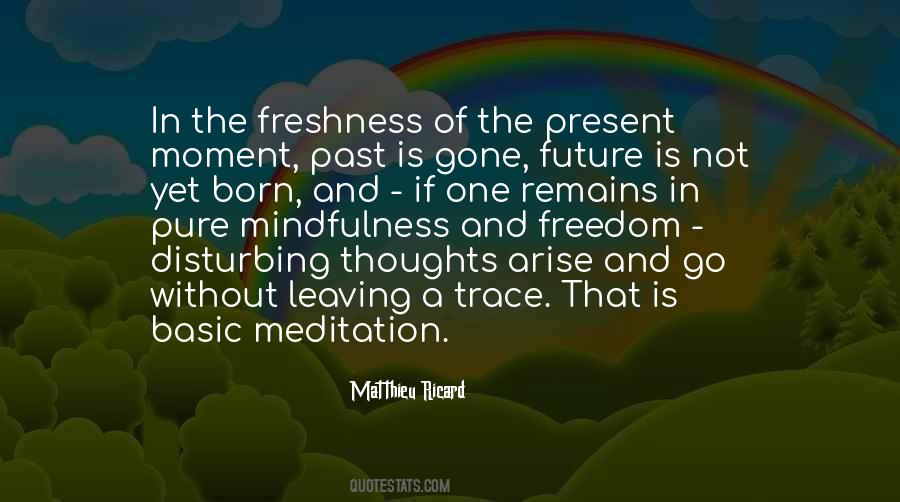 Matthieu Ricard Quotes #932064