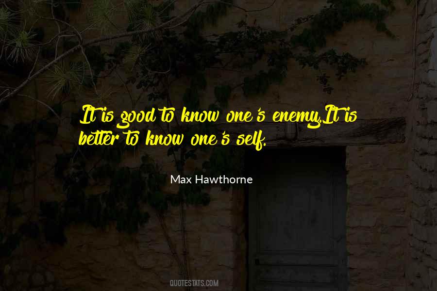 Max Hawthorne Quotes #345070