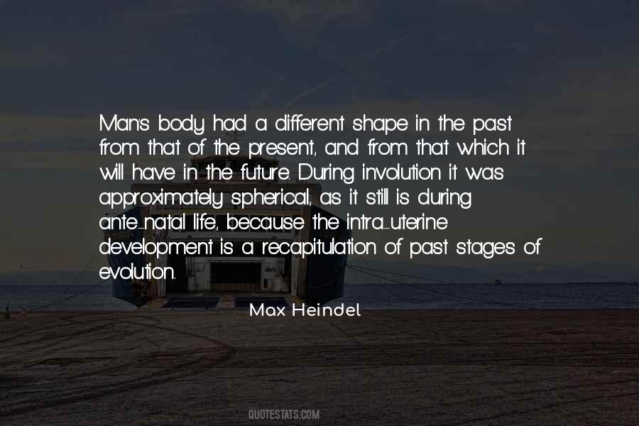 Max Heindel Quotes #1160866