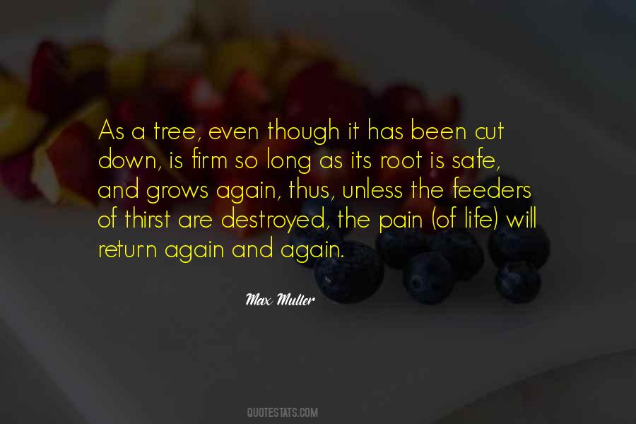 Max Muller Quotes #103539