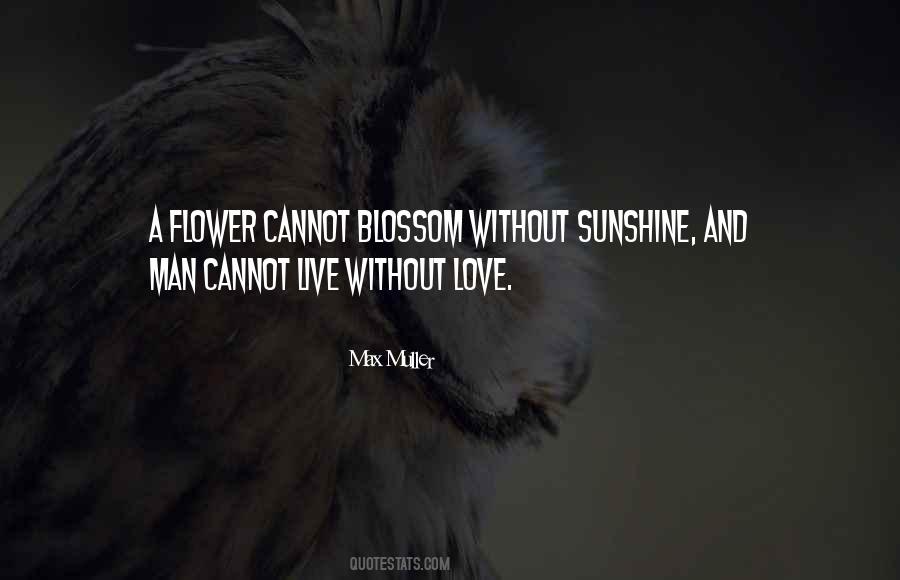 Max Muller Quotes #184178