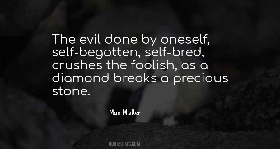 Max Muller Quotes #962588