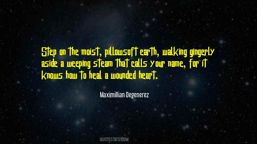 Maximillian Degenerez Quotes #1096640