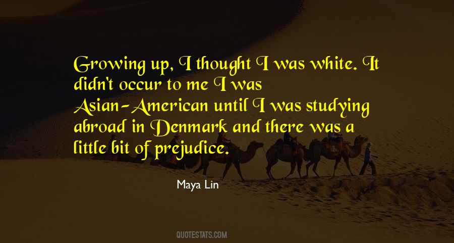 Maya Lin Quotes #327468