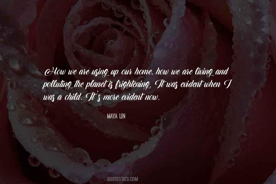 Maya Lin Quotes #402963