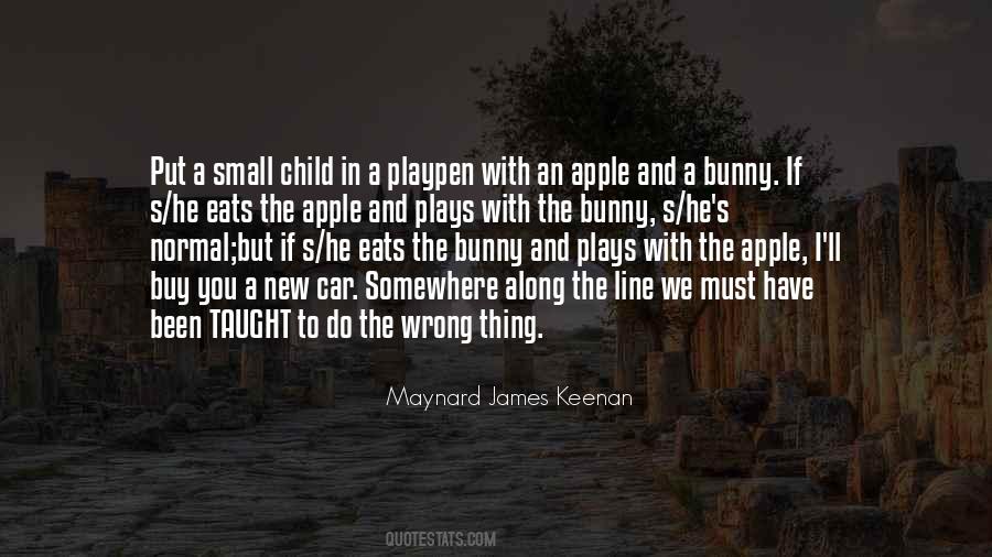 Maynard James Keenan Quotes #244720