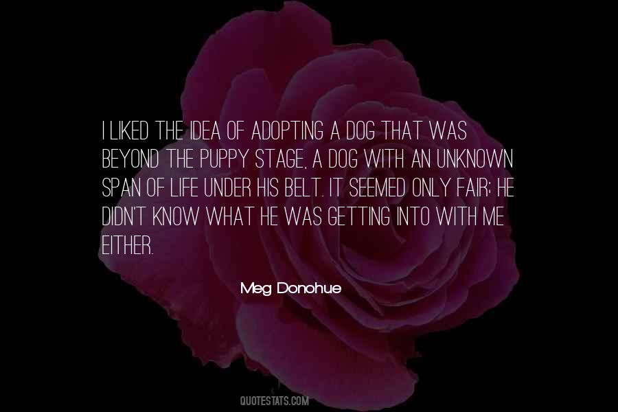 Meg Donohue Quotes #1429203