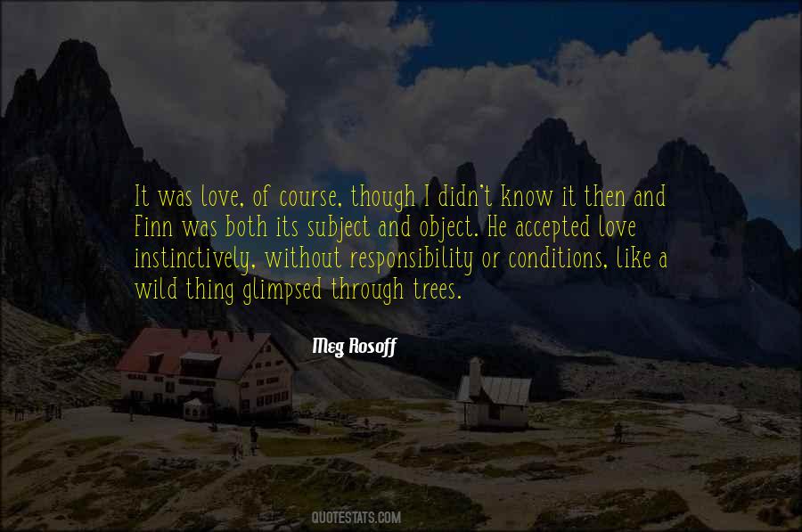 Meg Rosoff Quotes #693373