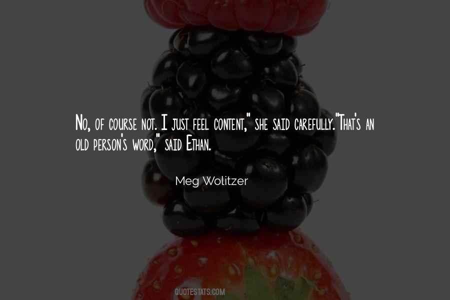 Meg Wolitzer Quotes #1776900