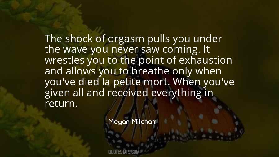 Megan Mitcham Quotes #667973
