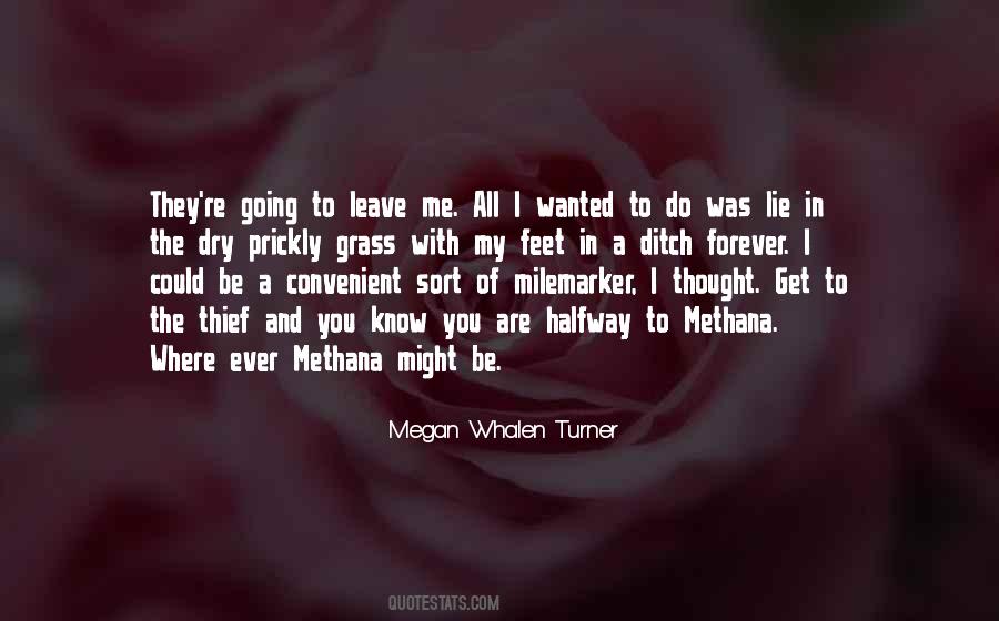 Megan Whalen Turner Quotes #105665