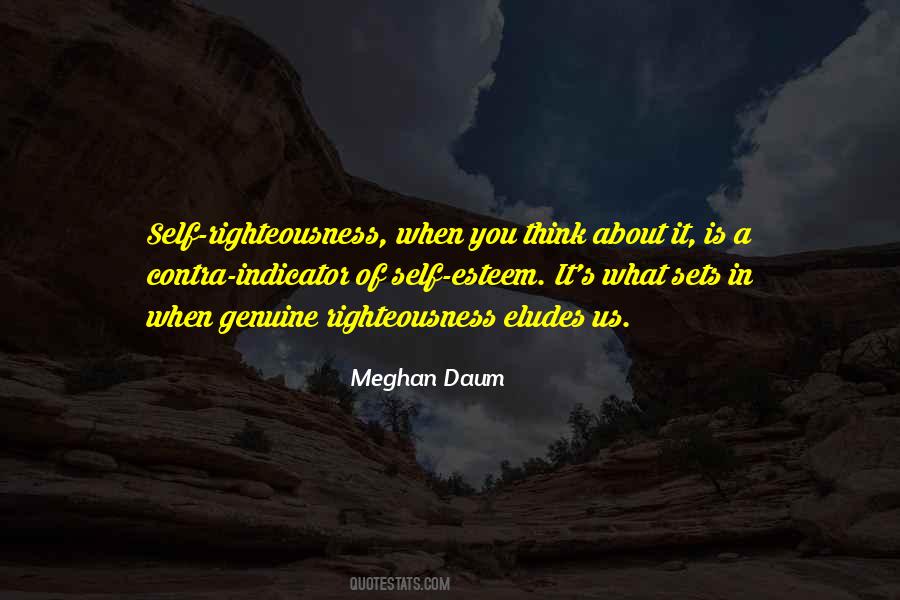 Meghan Daum Quotes #1539308