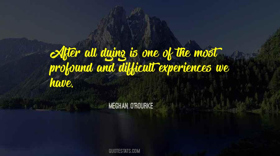 Meghan O'Rourke Quotes #1021846