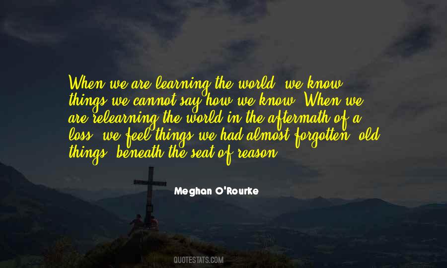 Meghan O'Rourke Quotes #1514738