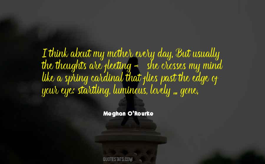 Meghan O'Rourke Quotes #258342