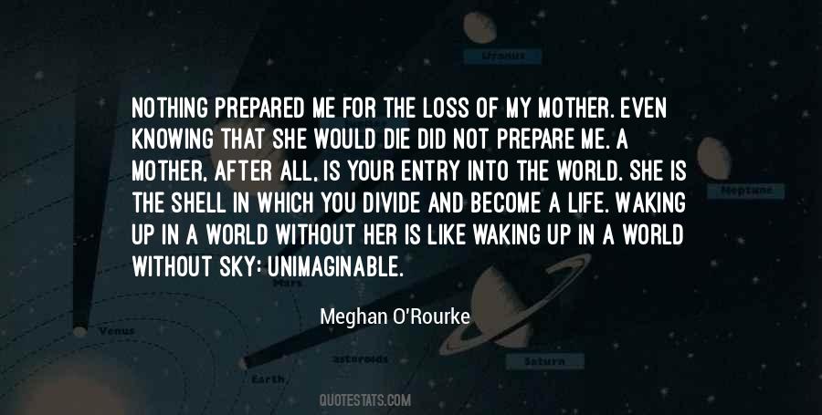 Meghan O'Rourke Quotes #47531