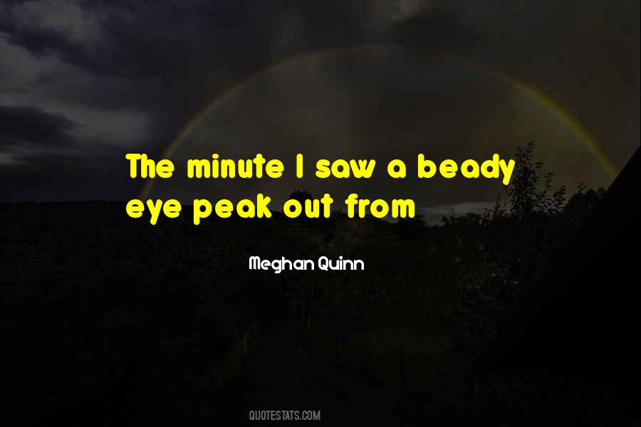 Meghan Quinn Quotes #1197886