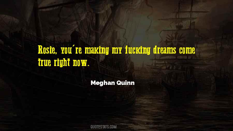 Meghan Quinn Quotes #262148