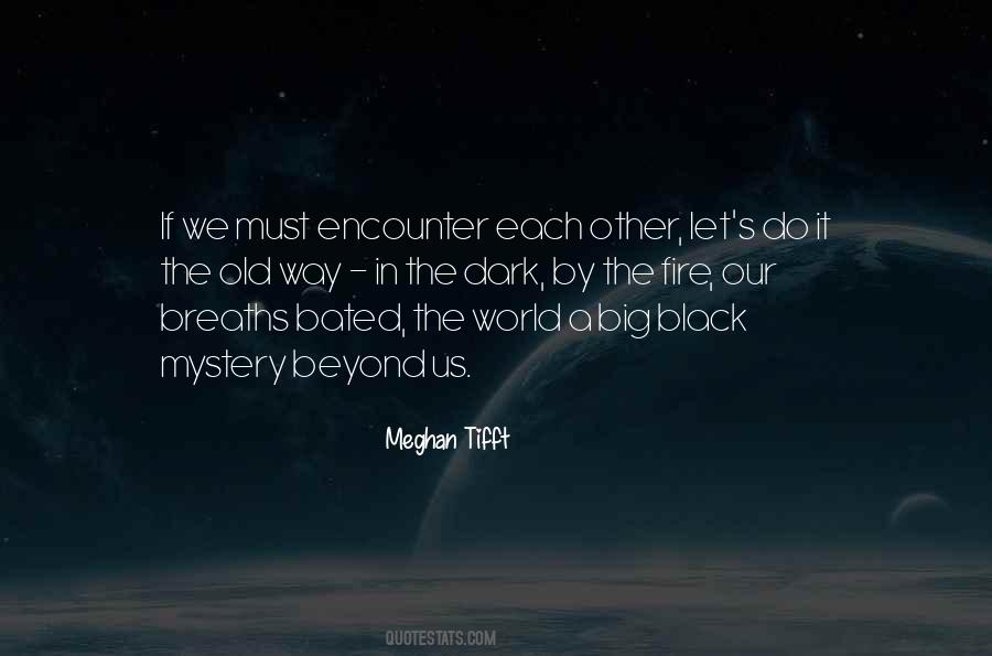 Meghan Tifft Quotes #1454578