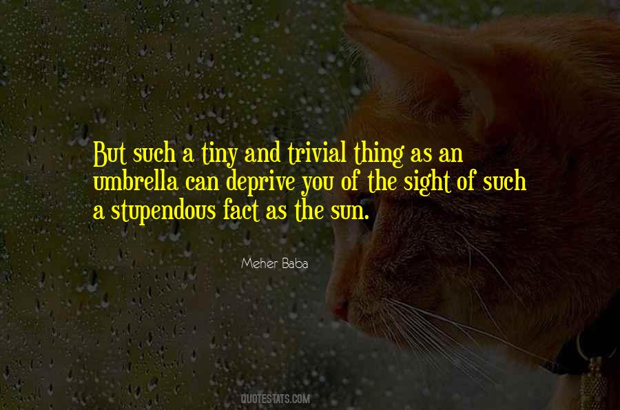 Meher Baba Quotes #331960