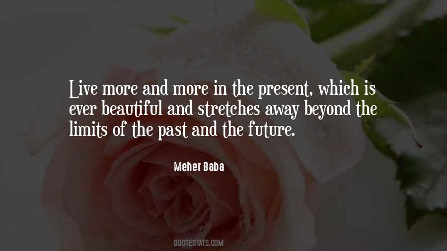 Meher Baba Quotes #543173
