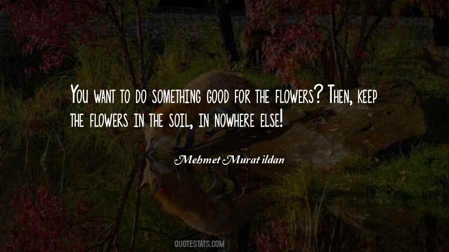 Mehmet Murat Ildan Quotes #1427802