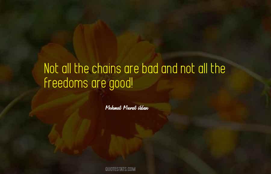 Mehmet Murat Ildan Quotes #1681717